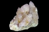 Cactus Quartz (Amethyst) Crystal Cluster - South Africa #134333-1
